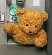 Teddy Eaten by ATM